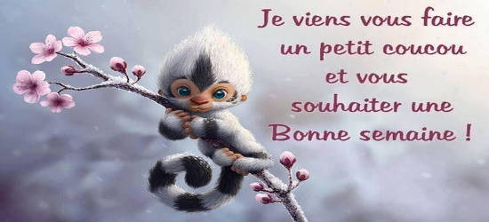 Message Bon Lundi