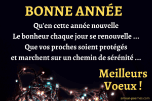 Modèle belle lettre bonne année – courrier meilleurs voeux 2024