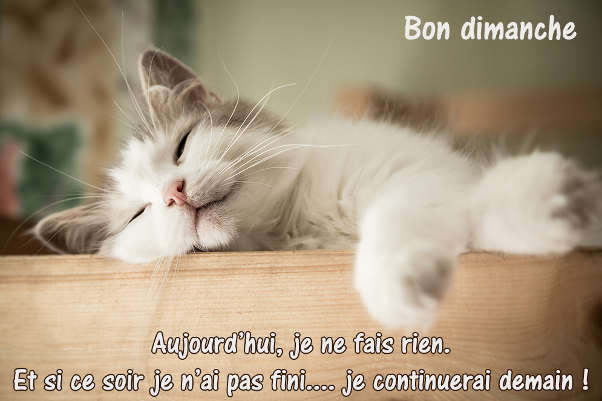 Message Bon Dimanche Humour Amour Amitié - sms original poème image