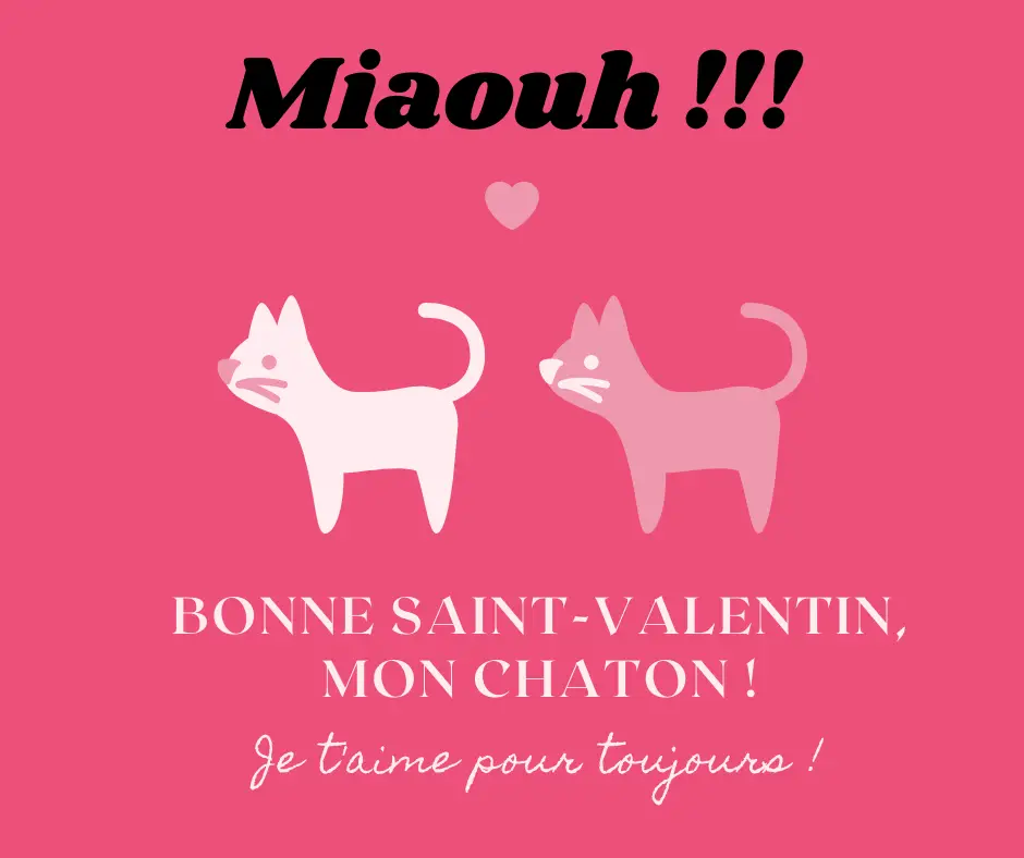 Messages Saint Valentin 23 Humour Poeme Et Images Droles