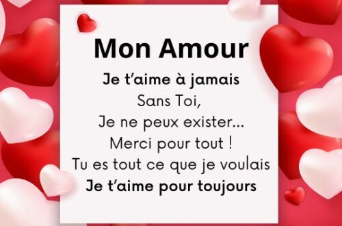 Dire je t'aime à une meuf ou à un mec avec une image romantique.
