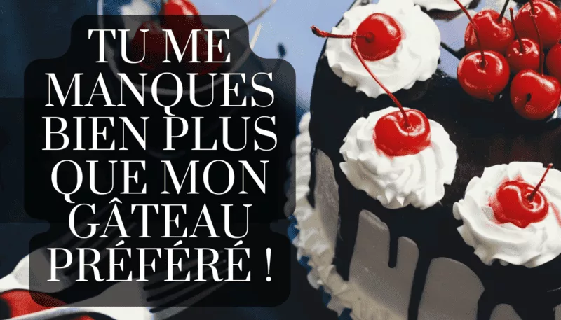 Image humoristique "Tu me manques bien plus que mon gâteau préféré" pour exprimer un message d'amour tendre et drôle.